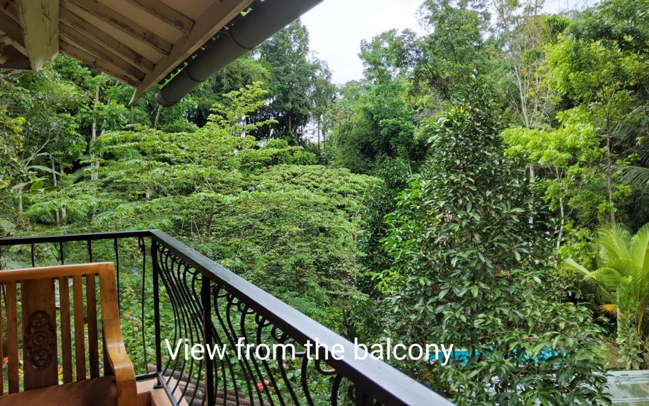 Mi Casa - The Gem Of Ijen Gasthof 3*