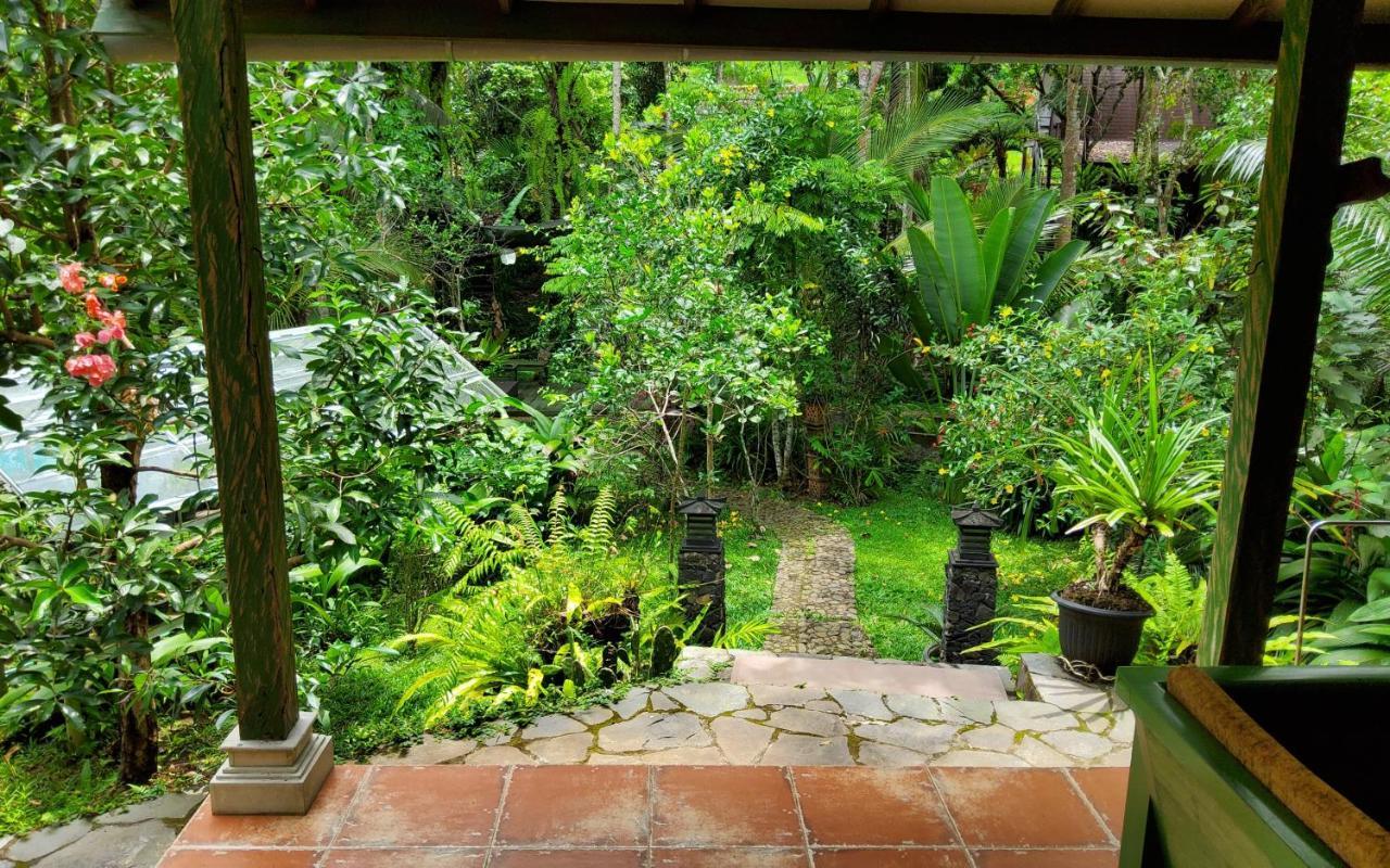 Gasthof Mi Casa - The Gem Of Ijen 3*