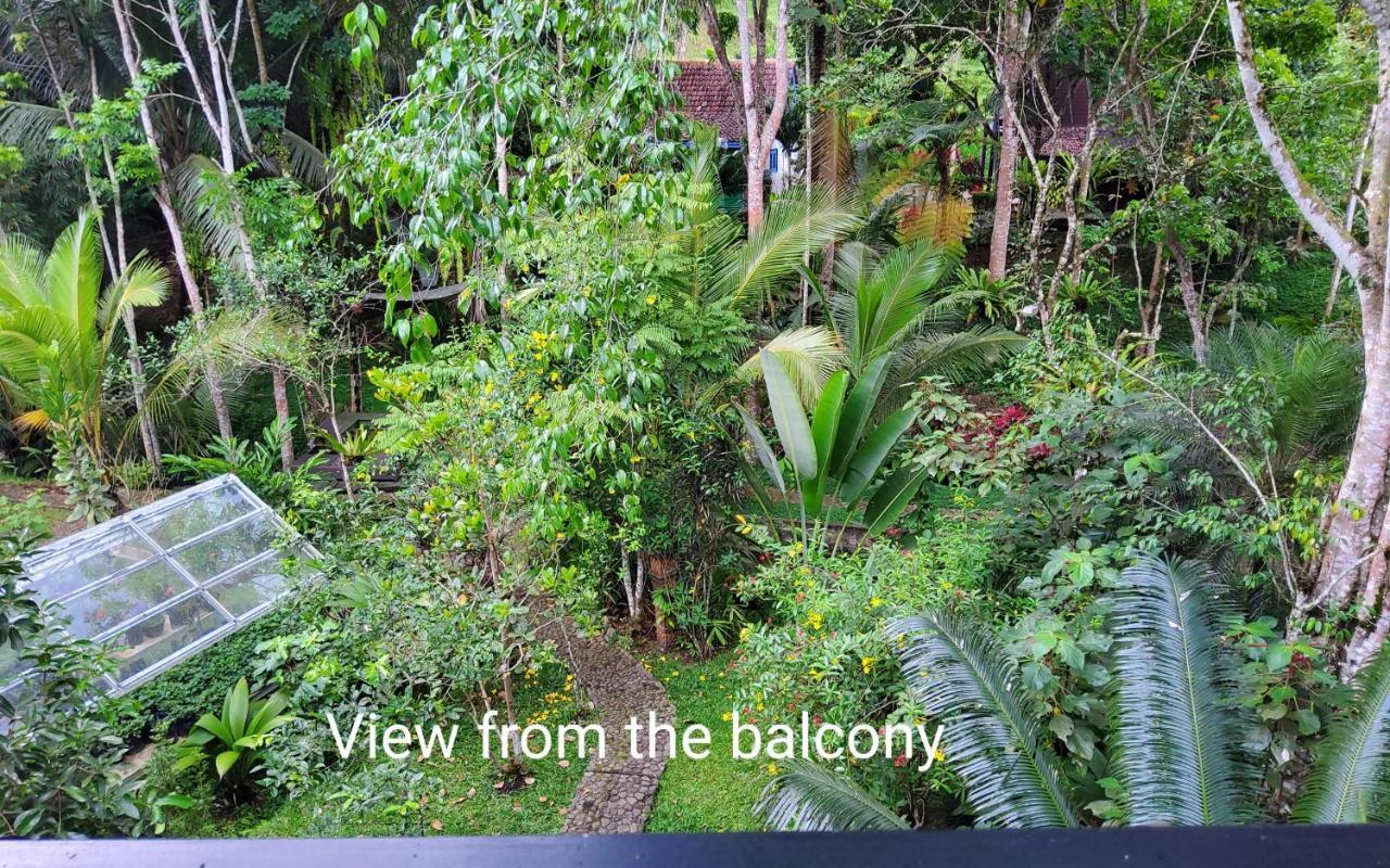 Mi Casa - The Gem Of Ijen