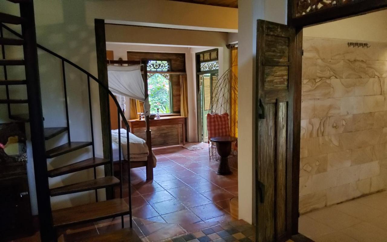 Mi Casa - The Gem Of Ijen Gasthof