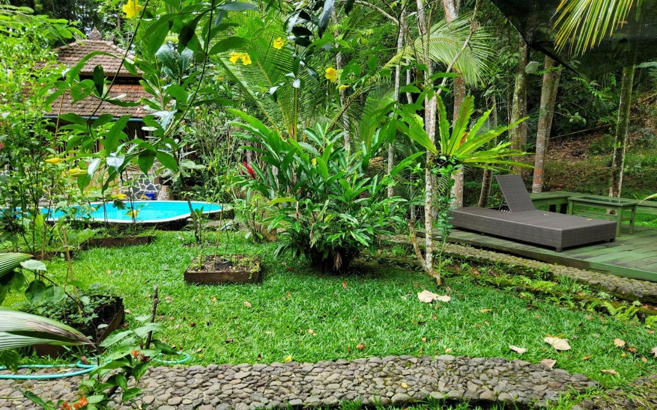 Mi Casa - The Gem Of Ijen Gasthof Banyuwangi (East Java)