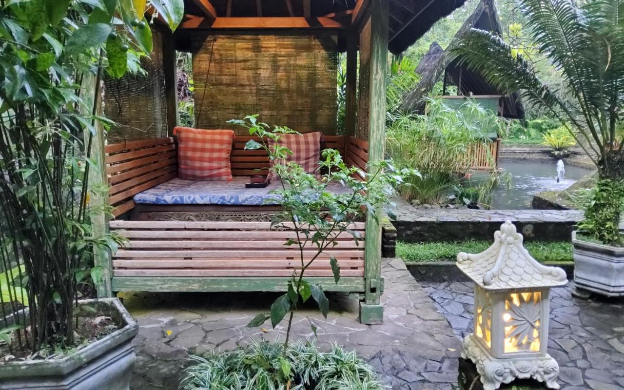 Mi Casa - The Gem Of Ijen 3*