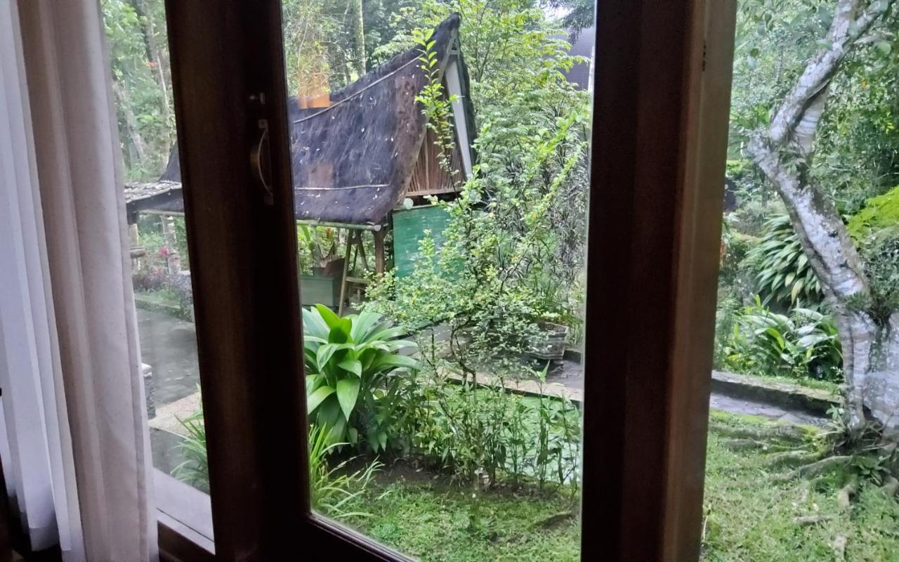 Gasthof Mi Casa - The Gem Of Ijen