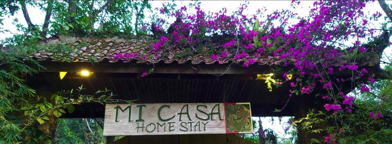 Mi Casa - The Gem Of Ijen