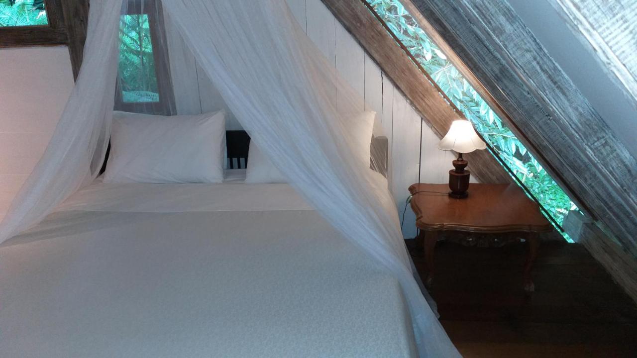 Mi Casa - The Gem Of Ijen Gasthof