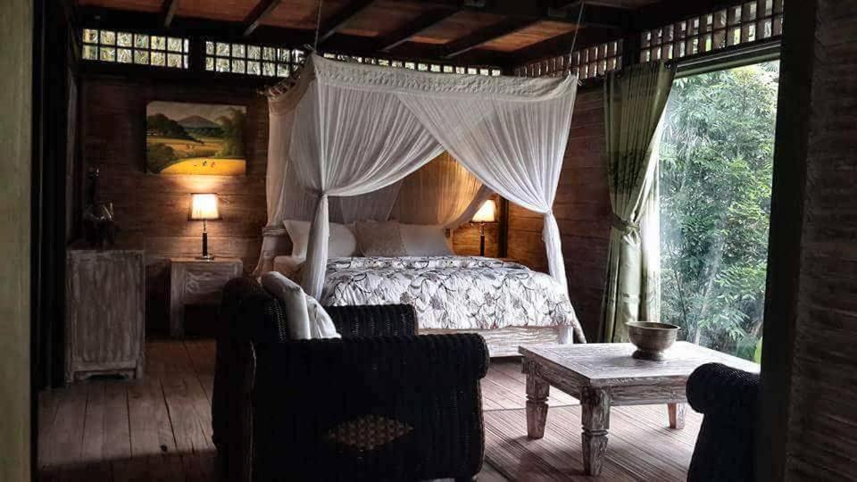 Mi Casa - The Gem Of Ijen 3*