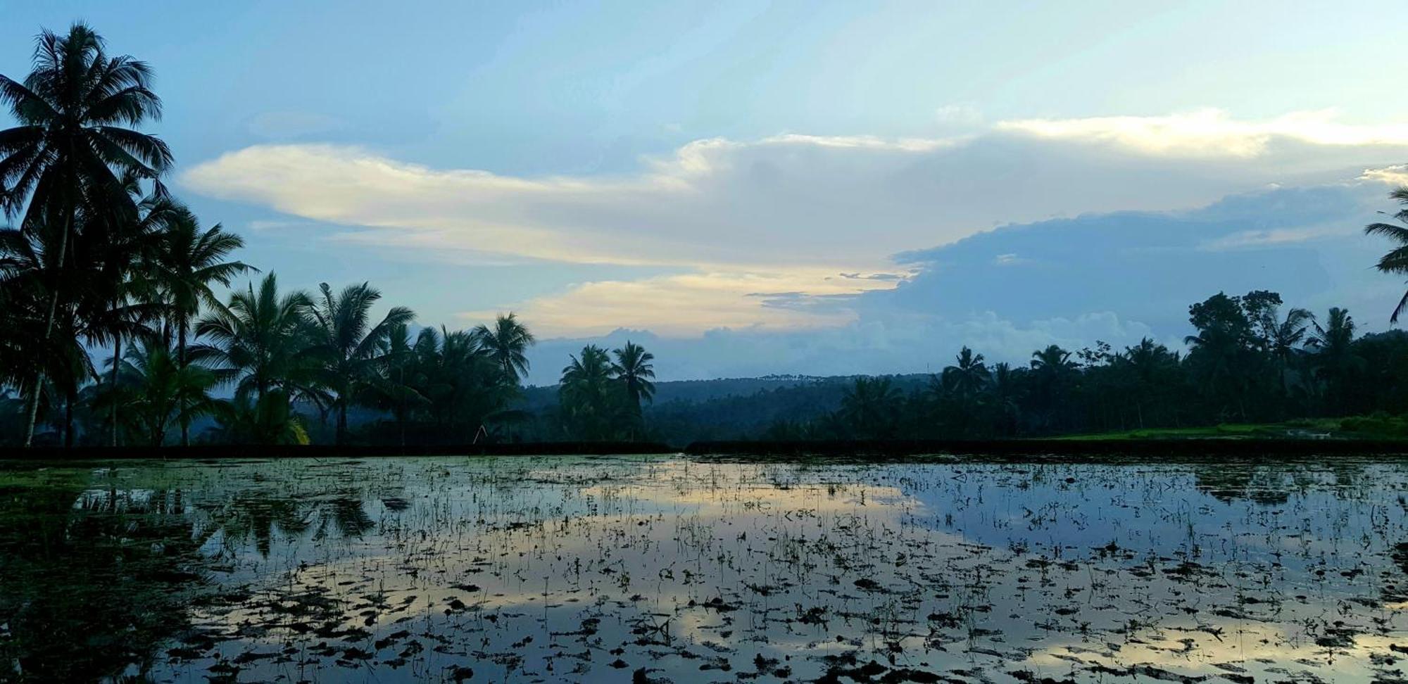 Mi Casa - The Gem Of Ijen Banyuwangi (East Java)