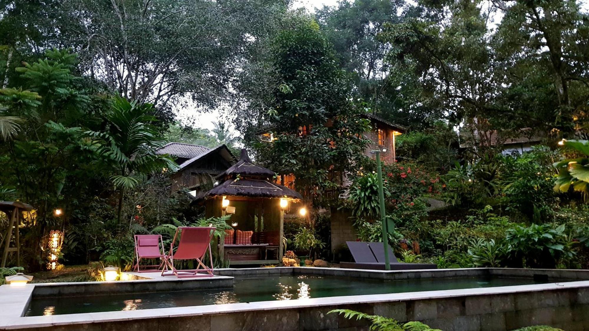Gasthof Mi Casa - The Gem Of Ijen Banyuwangi (East Java)