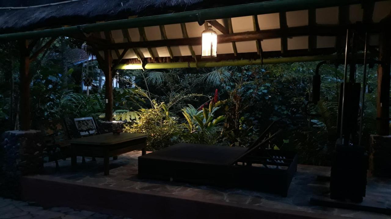 Mi Casa - The Gem Of Ijen
